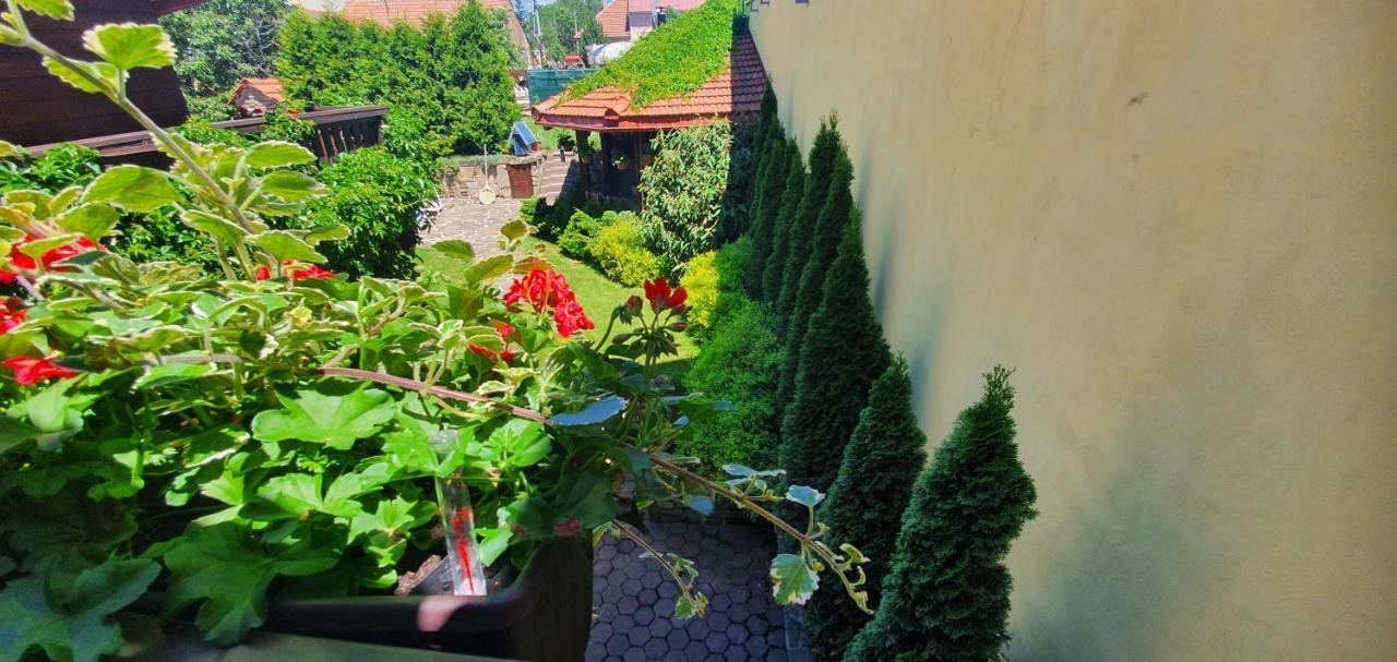 Ubytovanie U Babky Veľký Slavkov Exterior foto